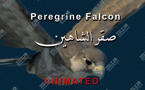 images/goods_img/20210312/Peregrine Falcon (Folded Wings)/1.jpg